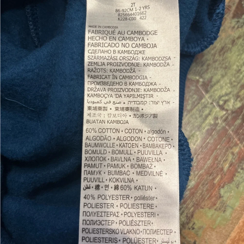NWT Nike Toddler Boys Hoodie